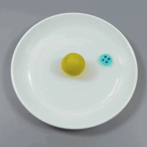 빙글빙글 지구를 돌려라!(4인 세트)