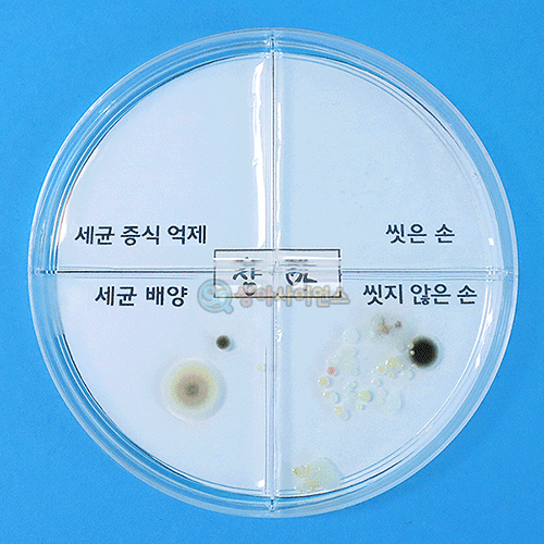 세균 배양과 증식 억제 실험하기(4인 세트)