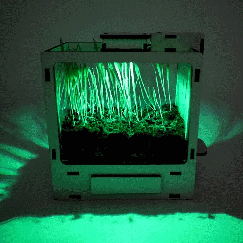 스마트팜 V2 만들기 (미니클로버, 물잔디)